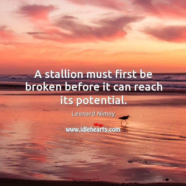 A stallion must first be broken before it can reach its potential. Leonard Nimoy Picture Quote