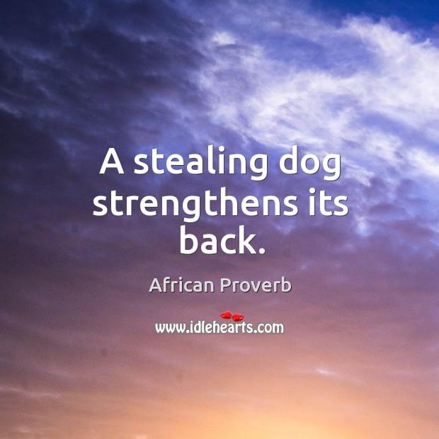 A stealing dog strengthens its back. Image