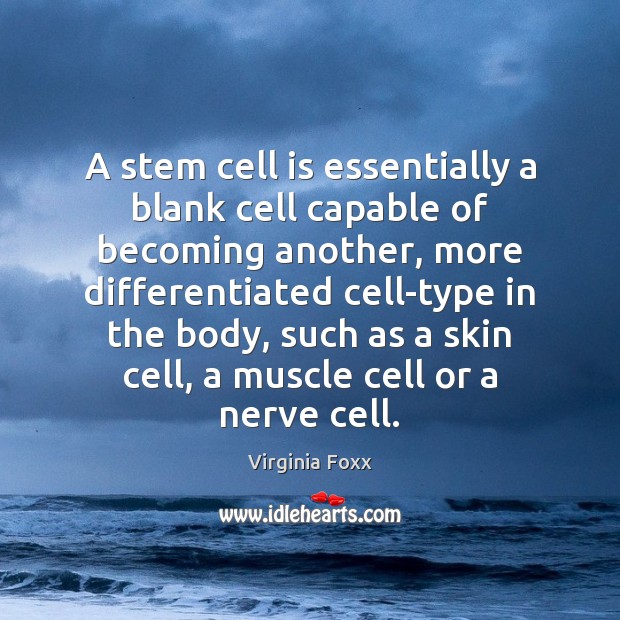 A stem cell is essentially a blank cell capable of becoming another, Virginia Foxx Picture Quote