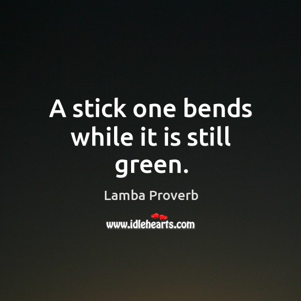 A stick one bends while it is still green. Lamba Proverbs Image