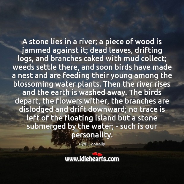 A stone lies in a river; a piece of wood is jammed Image