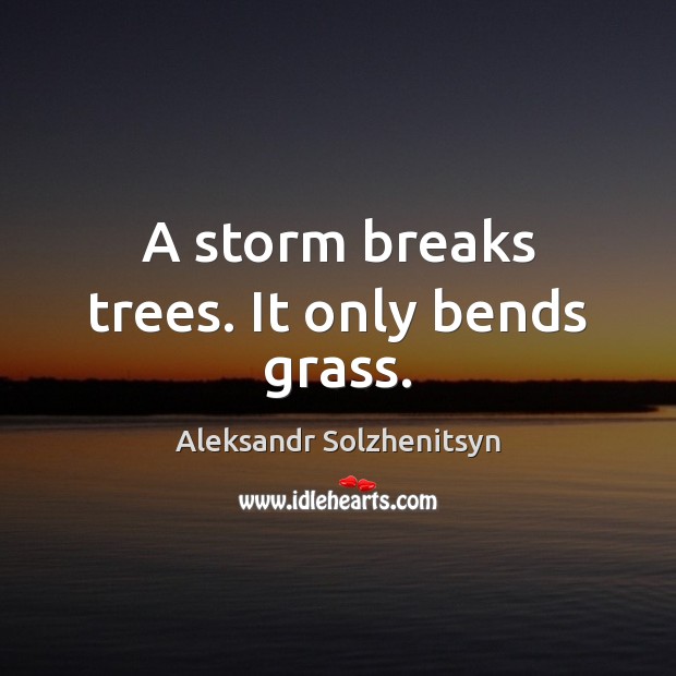 A storm breaks trees. It only bends grass. Image