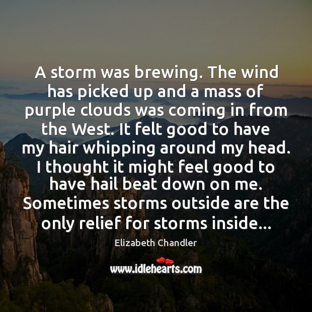 A storm was brewing. The wind has picked up and a mass Elizabeth Chandler Picture Quote
