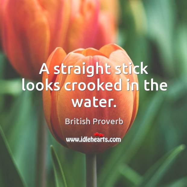 A straight stick looks crooked in the water. British Proverbs Image