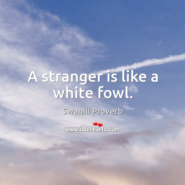 A stranger is like a white fowl. Swahili Proverbs Image