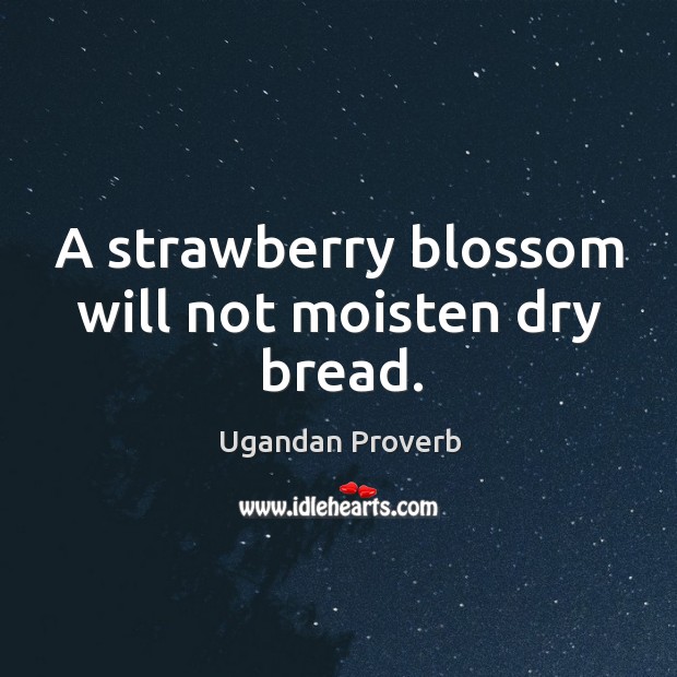 A strawberry blossom will not moisten dry bread. Ugandan Proverbs Image