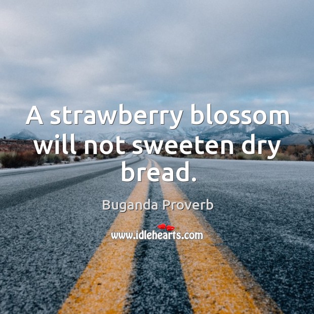 A strawberry blossom will not sweeten dry bread. Buganda Proverbs Image