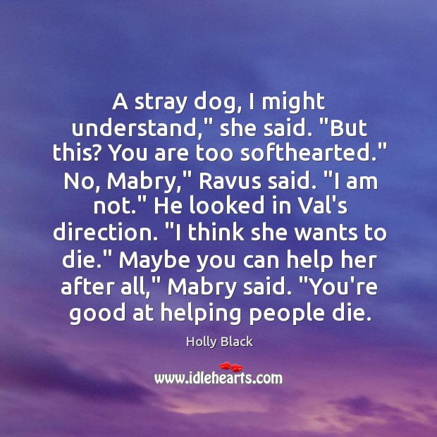 A stray dog, I might understand,” she said. “But this? You are Holly Black Picture Quote