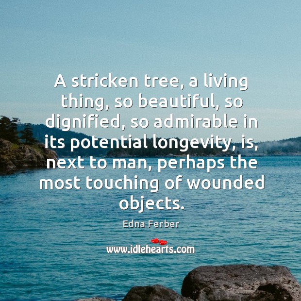 A stricken tree, a living thing, so beautiful Edna Ferber Picture Quote