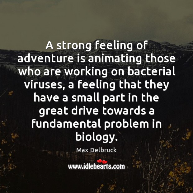 A strong feeling of adventure is animating those who are working on Max Delbruck Picture Quote
