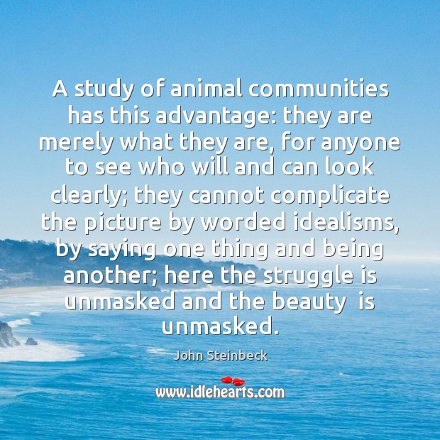 A study of animal communities has this advantage: they are merely what Struggle Quotes Image