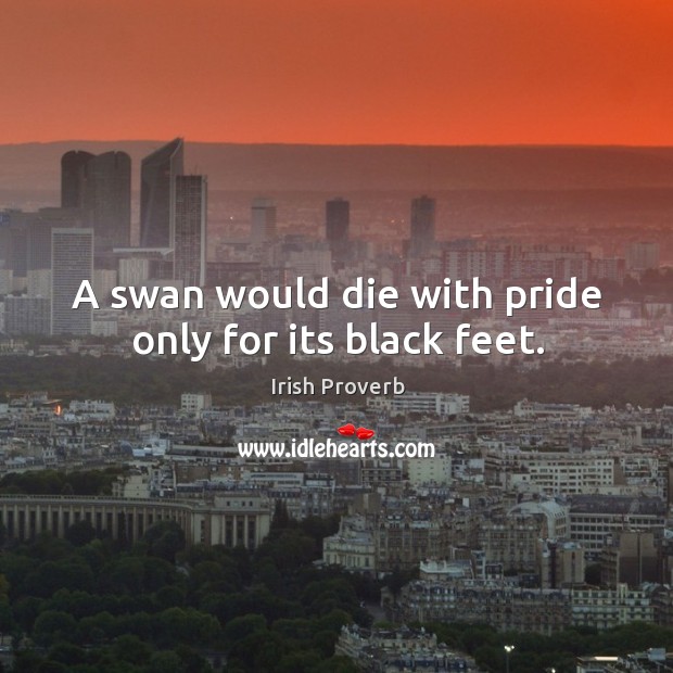 A swan would die with pride only for its black feet. Image