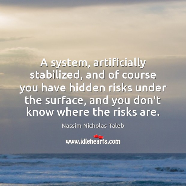 A system, artificially stabilized, and of course you have hidden risks under Nassim Nicholas Taleb Picture Quote