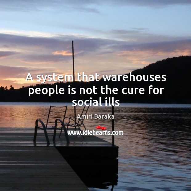 A system that warehouses people is not the cure for social ills Amiri Baraka Picture Quote