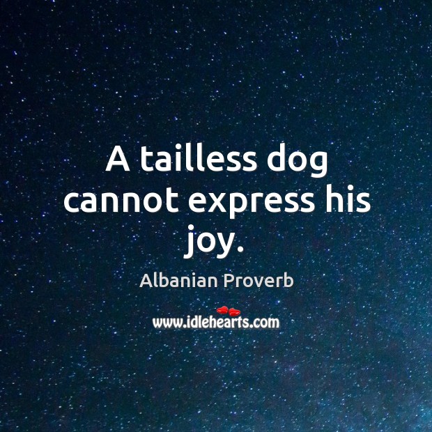 A tailless dog cannot express his joy. Albanian Proverbs Image