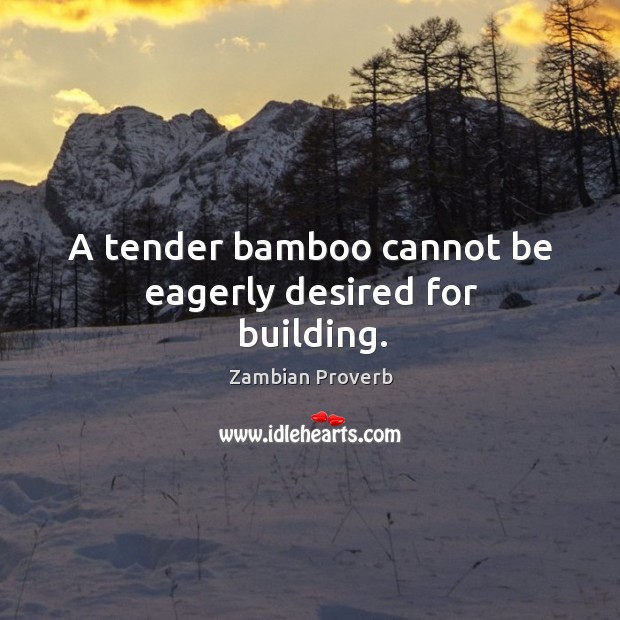 A tender bamboo cannot be eagerly desired for building. Zambian Proverbs Image