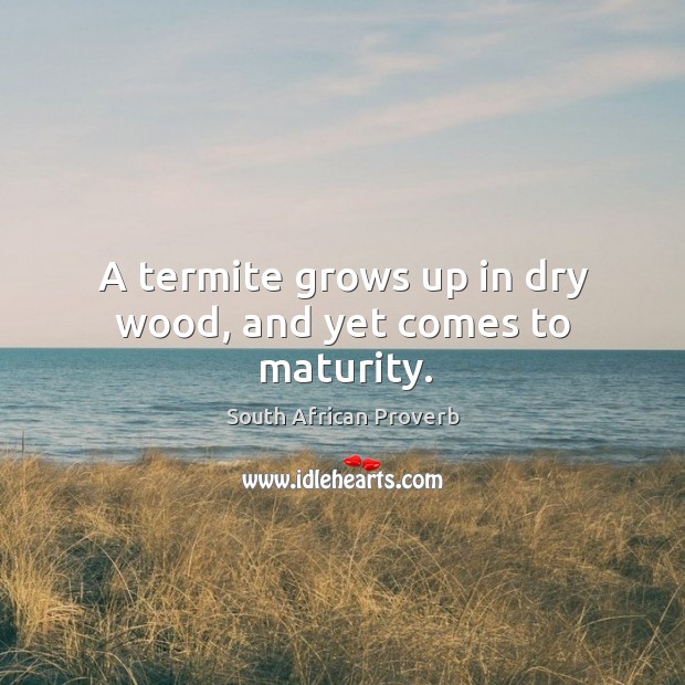 A termite grows up in dry wood, and yet comes to maturity. South African Proverbs Image