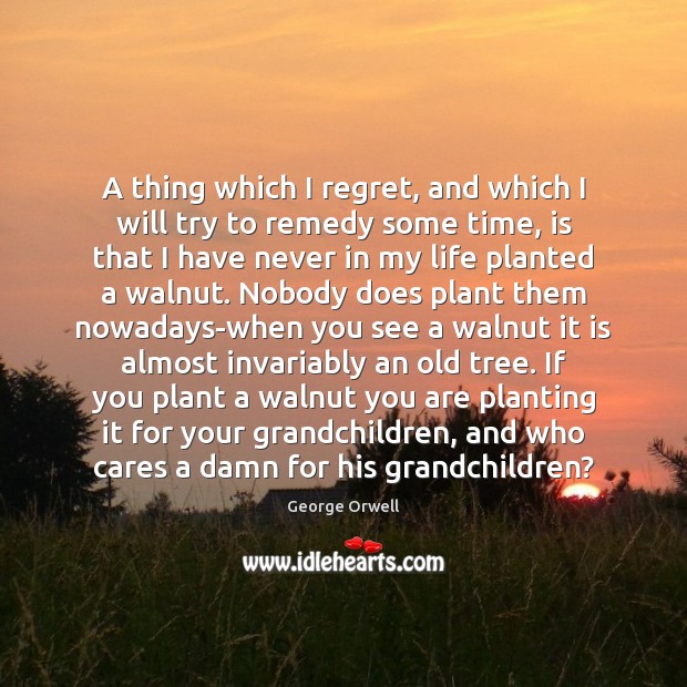 A thing which I regret, and which I will try to remedy George Orwell Picture Quote