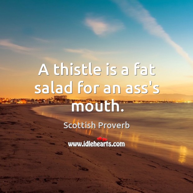 A thistle is a fat salad for an ass’s mouth. Scottish Proverbs Image