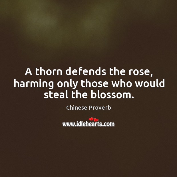 A thorn defends the rose, harming only those who would steal the blossom. Image