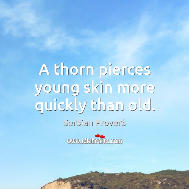 A thorn pierces young skin more quickly than old. Serbian Proverbs Image