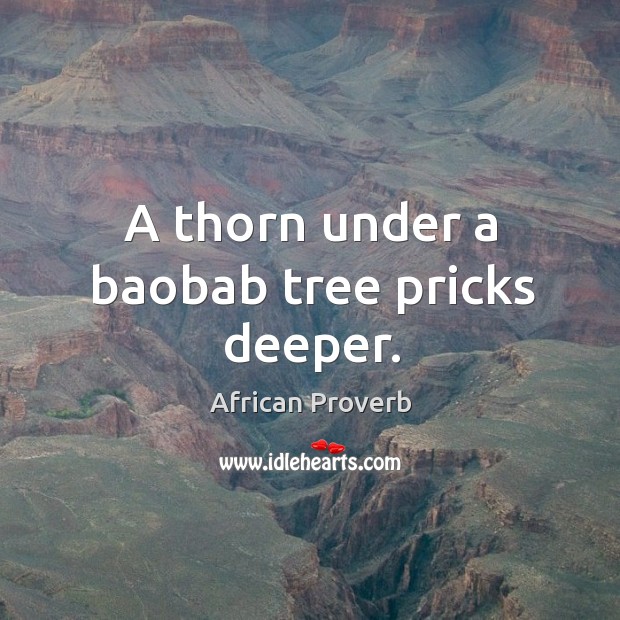A thorn under a baobab tree pricks deeper. Image