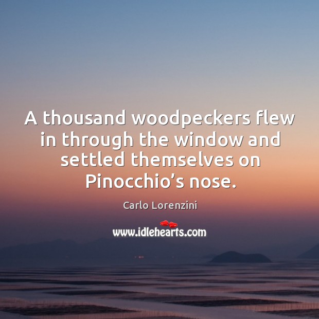A thousand woodpeckers flew in through the window and settled themselves on pinocchio’s nose. Image