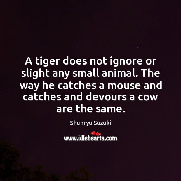 A tiger does not ignore or slight any small animal. The way Shunryu Suzuki Picture Quote