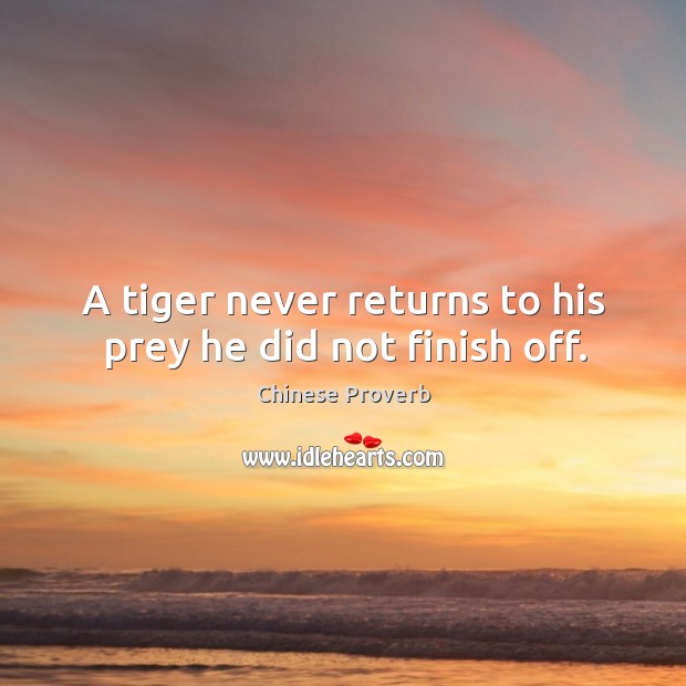 A tiger never returns to his prey he did not finish off. Chinese Proverbs Image