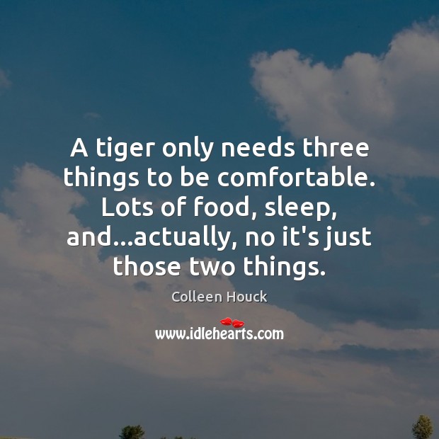 A tiger only needs three things to be comfortable. Lots of food, Colleen Houck Picture Quote