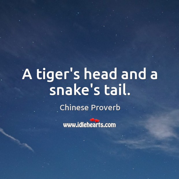 A tiger’s head and a snake’s tail. Chinese Proverbs Image