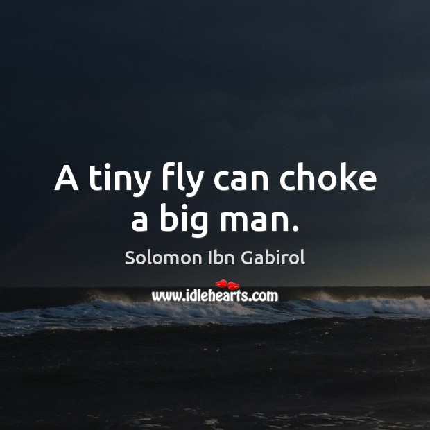 A tiny fly can choke a big man. Solomon Ibn Gabirol Picture Quote