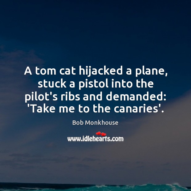 A tom cat hijacked a plane, stuck a pistol into the pilot’s Image