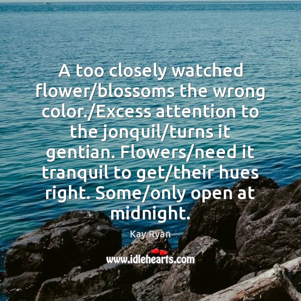 A too closely watched flower/blossoms the wrong color./Excess attention to Kay Ryan Picture Quote