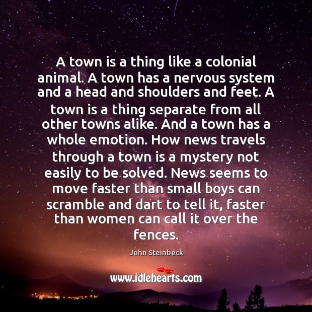 A town is a thing like a colonial animal. A town has John Steinbeck Picture Quote