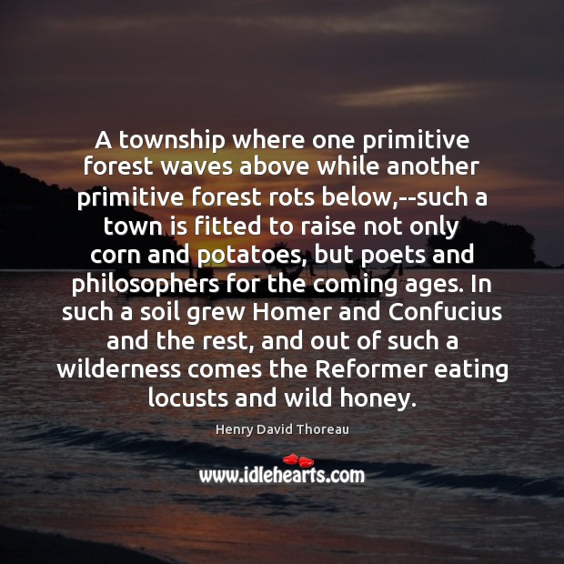 A township where one primitive forest waves above while another primitive forest Image