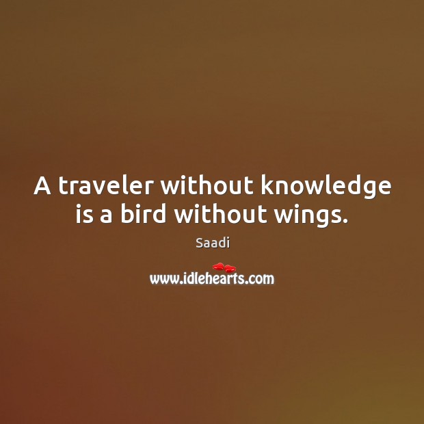 A traveler without knowledge is a bird without wings. Saadi Picture Quote