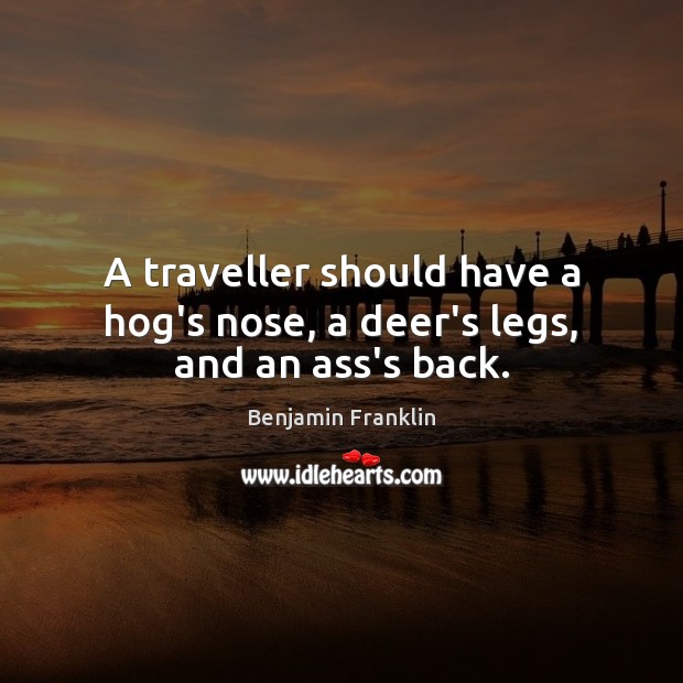 A traveller should have a hog’s nose, a deer’s legs, and an ass’s back. Benjamin Franklin Picture Quote