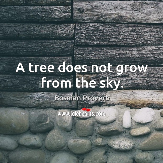 A tree does not grow from the sky. Bosnian Proverbs Image