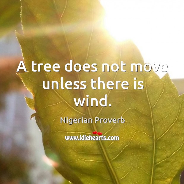 A tree does not move unless there is wind. Image