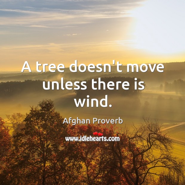 A tree doesn’t move unless there is wind. Afghan Proverbs Image