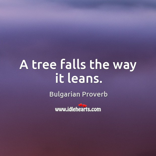 A tree falls the way it leans. Image