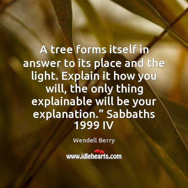 A tree forms itself in answer to its place and the light. Wendell Berry Picture Quote