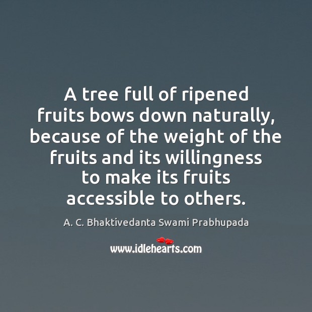 A tree full of ripened fruits bows down naturally, because of the A. C. Bhaktivedanta Swami Prabhupada Picture Quote