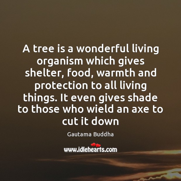 A tree is a wonderful living organism which gives shelter, food, warmth Gautama Buddha Picture Quote