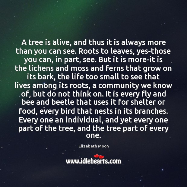 A tree is alive, and thus it is always more than you Elizabeth Moon Picture Quote