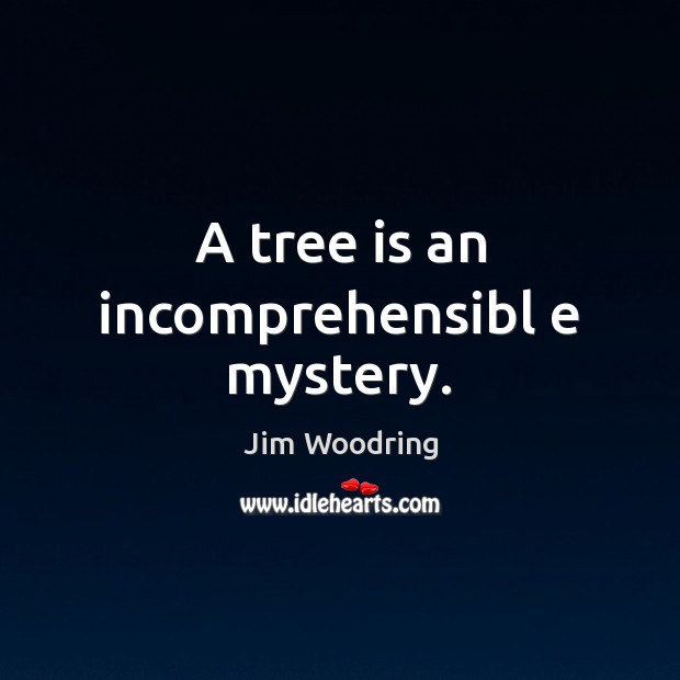 A tree is an incomprehensibl e mystery. Jim Woodring Picture Quote