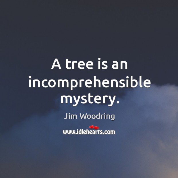 A tree is an incomprehensible mystery. 
