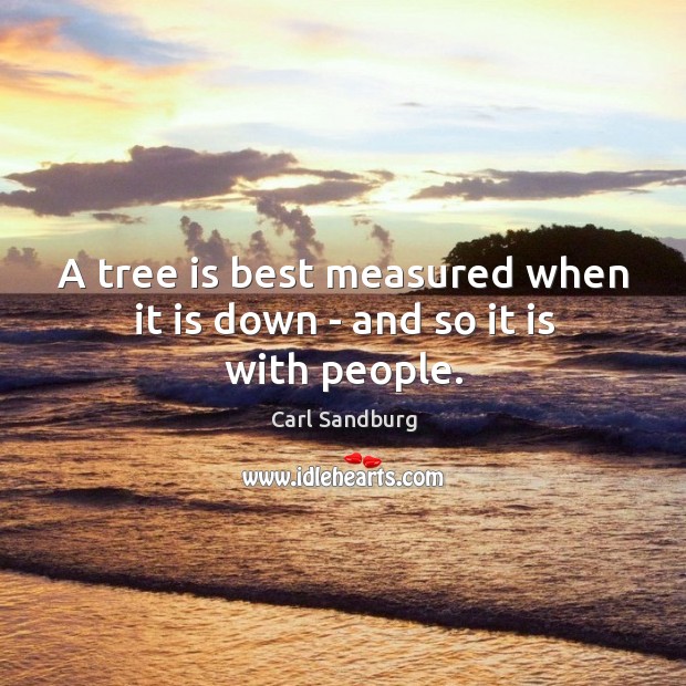 A tree is best measured when it is down – and so it is with people. Carl Sandburg Picture Quote