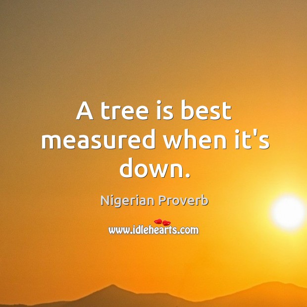 A tree is best measured when it’s down. Nigerian Proverbs Image